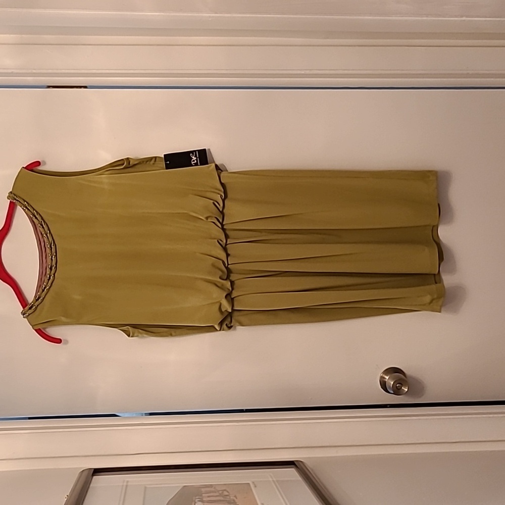 Pea green sleeveless dress with a braided  beaded neckline,